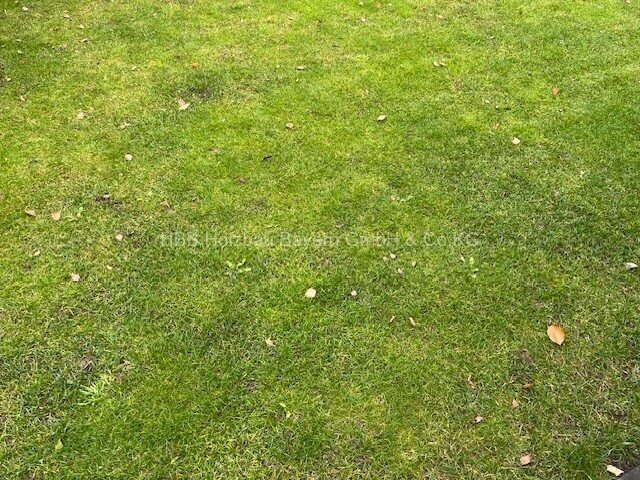 Marktheidenfeld: moderne DHH - So viel Platz für meine Familie 