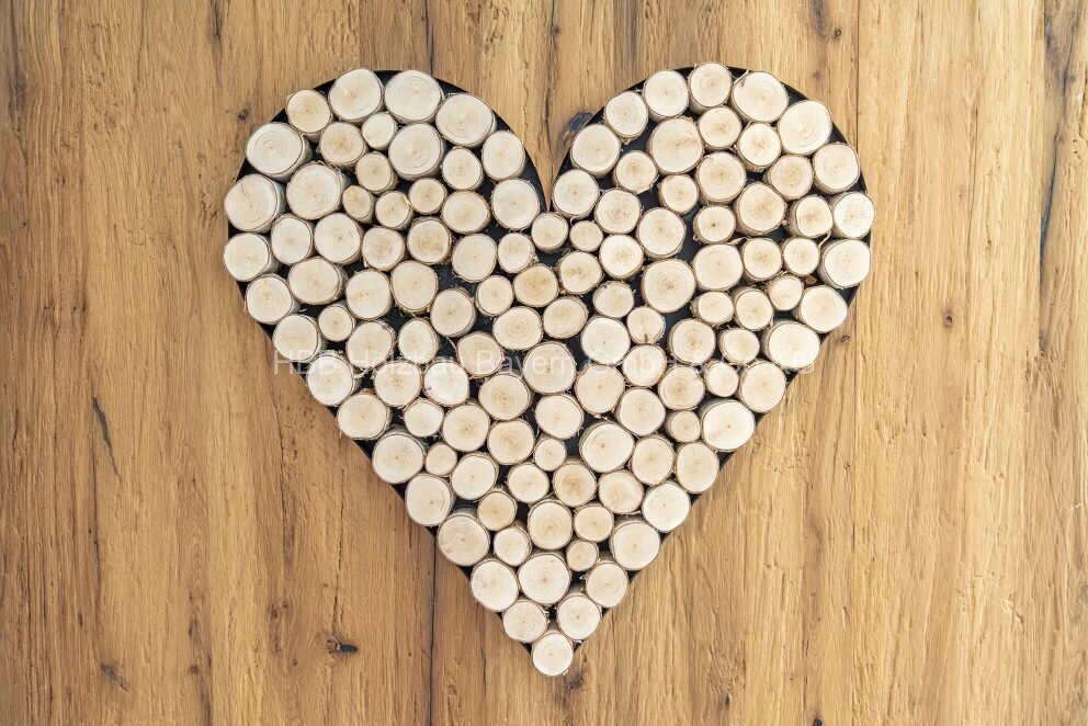 modernes EFH für die ganze Familie!